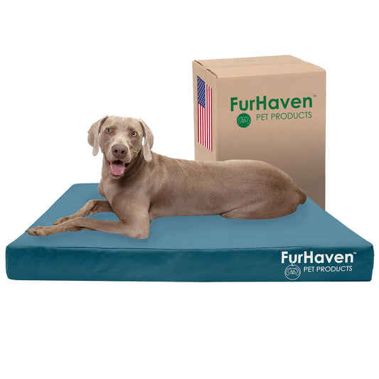 Furhaven Water-Resistant Cooling Gel Dog Bed for Large Dogs Deep Lagoon Jumbo Plus/XXL 53"L x 40"W x 5"Th